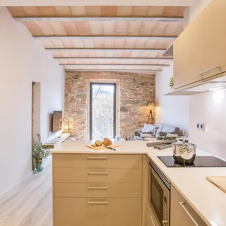 Flateli -placa Catalunya 3-1 * Girona